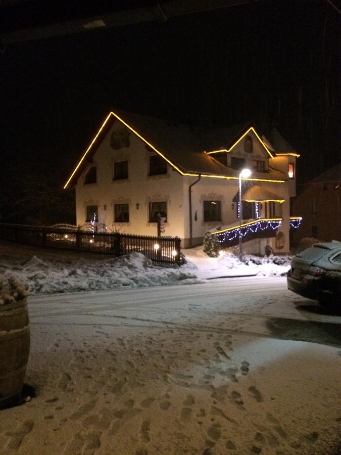 Hotel Alpenhof Markneukirchen Exteriör bild